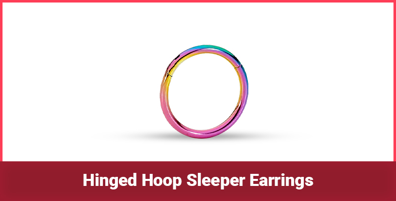 Hinged Hoop Sleeper Earrings