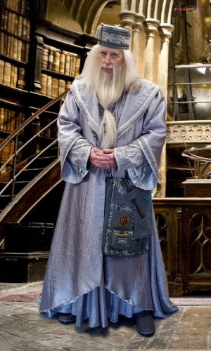 Dress Like Professor Albus Dumbledore